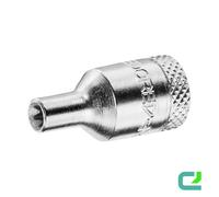 Inserto per Chiave a Bussola 1/4 Außen-tx E8 GEDORE TX 20 E8