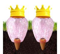 Inserto per lanterna autoirrigante, 2 x irrigazione automatica per piante, a rilascio lento, strumenti di irrigazione, adatto per piante da interno, fiori in vaso, verdure, ideale per serre prati
