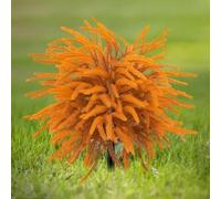 Inserto per pavimento con ago di pino autunnale, inserto artificiale per pavimento di albero topiaria, pini artificiali