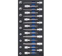 BGS Inserto per carrello da officina 1/3: set di inserti per bit, azionamento quadro interno 12,5mm (1/2") (per RIBE), 25pz. Quantità:1