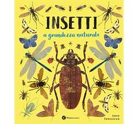 Insetti. A grandezza naturale. Ediz. a colori