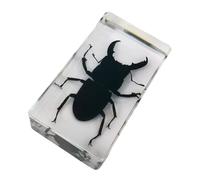 Insetti in Resina Tassidermia di Stag Beetle Fermacarte in Resina Trasparente per Insetti, Campione di Struttura di Stag Beetle Reale, Gioielli Artigianali, Regali Da Collezione Entomologo