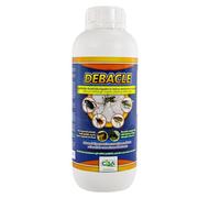 Insetticida Acaricida Liquido in Micro-emulsione, 1 Litro, per Insetti Volanti e Striscianti