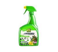 Insetticida Anticocciniglia Liquido Pronto All'Uso 800 ml Kb 3 Pezzi