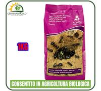 INSETTICIDA IN MICROGRANULI GEOTOX ADAMA 1KG STUDIATO PER FORMICHE AD AMPIO SPET