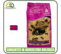 INSETTICIDA IN MICROGRANULI GEOTOX ADAMA 1KG STUDIATO PER FORMICHE AD AMPIO SPET