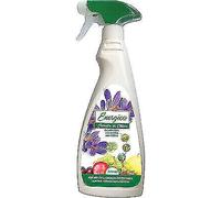 INSETTICIDA LIQUIDO ORTICA SPRAY ENERGICA GR 500 PZ 6