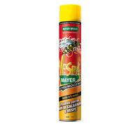 Insetticida Schiumogeno Mayer Braun Vespamayer 750 ml
