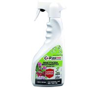 INSETTICIDA SPRAY MULTINSETTO PRONTO USO ml. 500