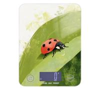 Insetto Green Leaf - Bilancia portatile per alimenti, 5 kg/5 g, con 4 unità per spezie e dieta cheto (batterie non incluse)