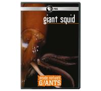 Inside Natures Giants-Giant Squid