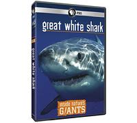 Inside Natures Giants-Great White Shark