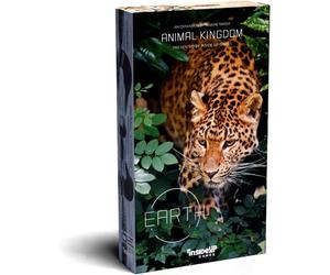 Inside Up Games Earth Animal Kingdom Gioco Da Tavolo Da 14 Anni 2026