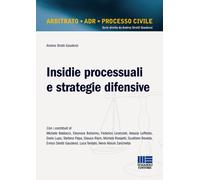 Insidie processuali e strategie difensive - 2018 - Maggioli Edito