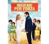 Insieme per forza (DVD)