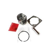 INSOGZRAF Kit Cilindro Tosaerba Universale for 45 seghe da Taglio con 52/58 componenti(52Graphite Piston As)