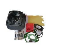 INSOGZRAF Ricambi, boccole, Testate, Fasce Elastiche for Tosaerba Universale Modello 5200 e 5800(Order Now And receiv)