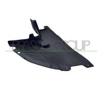 RIPARO MOTORE INFERIORE LATERALE DESTRO ADATTO A FIAT DUCATO 250 08/2006-> 13455