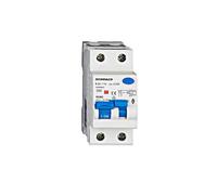 Inst. Interruttore con corrente di rose. B20/1+N/30mA tipo A