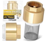 Instalguru Valvola Di Non Ritorno Ottone 3/4'' Valvola A Piede Pompa Aspirazione Cestello Inox Filtro Per Pompa Fornitura Idraulica Installazione Acqua