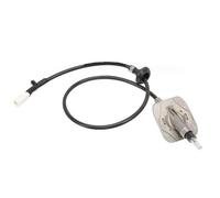Installazione Pronto Antenna Base Cavo Con Adattatore Cover Per Dodge Per RAM
