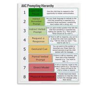 Instructional Prompting Poster Hierarchy Teaching Aid