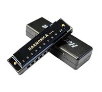 Instruments De Musique Harmonica 10 fori in chiave di Do Blues Harmonica a bocca Principianti Tremolo Legni Armonica in acciaio inossidabile(Black)