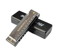 Instruments De Musique Harmonica 10 fori in chiave di Do Blues Harmonica a bocca Principianti Tremolo Legni Armonica in acciaio inossidabile(Silver)