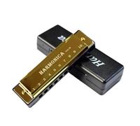 Instruments De Musique Harmonica 10 fori in chiave di Do Blues Harmonica a bocca Principianti Tremolo Legni Armonica in acciaio inossidabile(Gold)