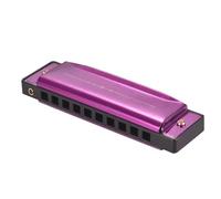 Instruments De Musique Harmonica Armonica a bocca diatonica in chiave di Do con ance in ABS superficie a specchio 10 fori armonica blues per principianti(Purple)