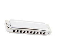 Instruments De Musique Harmonica Armonica diatonica Blues Harp a 10 fori in chiave di Do colore argento per esibizioni musicali(Ab)