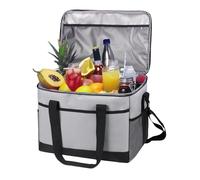 Insulated Bag, Thermal Food Carrier, 16.54x11.02x11.81 Inches Retention Case 35L, Hot and Cold Storage with Handle Strap for Drinks Fruits Seafood Milk Beer Outdoor Activities