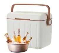 Insulated Cooler, Outdoor Sealed Box with 6 Ice Packs, 10.63x9.45x7.48 Inches Compact & Lightweight, Frost Chest Picnic Chiller for Drinks, Hiking, Gym, Camping, Barbecue, Disaster Travel, and Beach