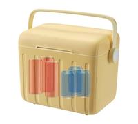 Insulated Cooler, Outdoor Sealed Box with 6 Ice Packs, 10.63x9.45x7.48 Inches Compact & Lightweight, Frost Chest Picnic Chiller for Drinks, Hiking, Gym, Camping, Barbecue, Disaster Travel, and Beach