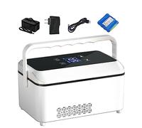 Insulina Frigo Portatile Refrigeratore per Medicina per insulina ad Alta capacità, 2-8°C Dispositivo di Raffreddamento per medicinali per Auto, casa, Viaggi (Size : Lithium Battery x1) (Size : Lithiu