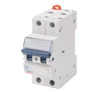 GEWISS GW92046 INTERRUTTORE MAGNETOTERMICO 2P C10A 2 MODULI