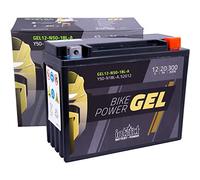 intAct - BATTERIA MOTO IN GEL Bike-Power GEL12-N50-18L-A. Sostituisce Y50-N18L-A, Y50-N18L-A3. Batteria moto 12V 20Ah 300A. Dimensioni: 206x91x164mm. Con fino al 30% in più di potenza di avviamento.