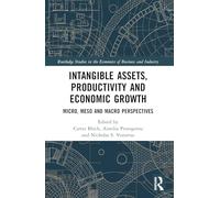 Intangible Assets, Productivity and Economic Growth: Micro, Meso and Macro Perspectives