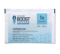 Integra Boost - Controlo Umidità erbe aromatizzate con Terpene (Integra Boost - Terpene gusto Terpinolene 4gr 62%)