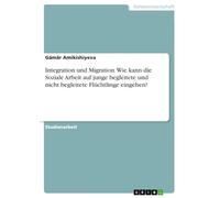 Integration und Migration. Wie kann die Soziale Arbeit auf junge begleitete und nicht begleitete Flüchtlinge eingehen?