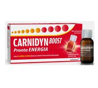 Integratore CARNIDYN Boost Pronta Energia 10 Flaconcini - Funzionalità Cerebrale