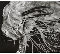 INTEGRITY Suicide Black Snake (CD)