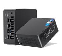 Intel NUC 11 Panther Canyon Mini PC 11. Intel Core i5-1135G7, 16 GB di RAM e 512 GB SSD, Windows 11 Pro, supporta display 4K Quad, WLAN 6, VESA/Home/Business Mini Desktop Computer (NUC11PAHi5)