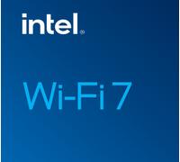 E_0015_ 18084250000 Intel Intel Wi-Fi 7 BE202 Interno WLAN / Bluetooth 2