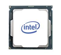 Intel Xeon E-2324G processore 3,1 GHz 8 MB Cache intelligente [CM8070804496015]