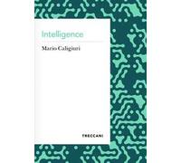 Intelligence