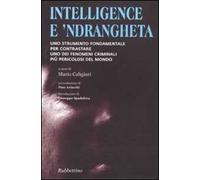 Intelligence e 'ndrangheta. Uno strumento fondamentale per contrastare uno dei fenomeni criminali più pericolosi del mondo