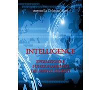 Intelligence. Evoluzione e funzionamento dei servizi segreti