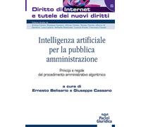 Intelligenza artificiale per la pubblica amministrazione. Princip