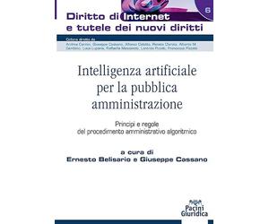 Intelligenza artificiale per la pubblica amministrazione. Principi e regole del procedimento amministrativo algoritmico